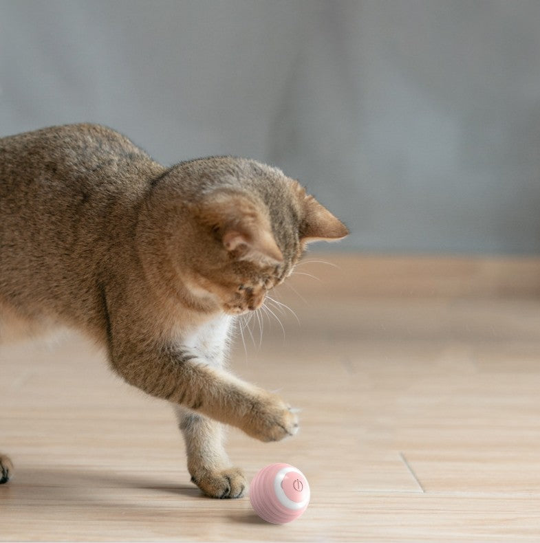 SmartCatBall - La Pallina Intelligente per il tuo gatto