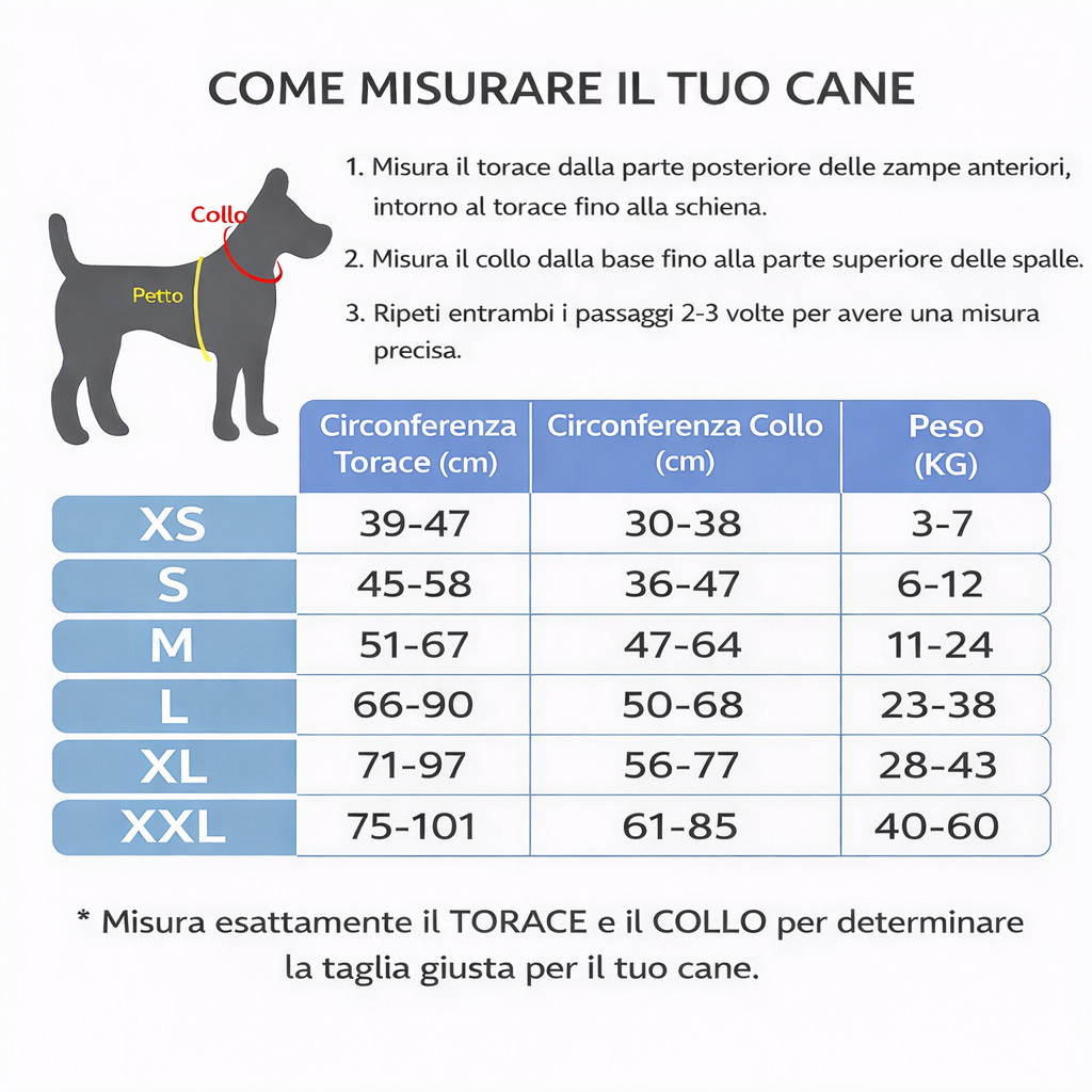 BackHome Harness - La pettorina personalizzata